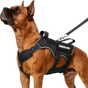 MOOGROU 전술 서비스 개 조끼 및 목줄 세트 중형견을 위한 금속 버클이 있는 헤비 듀티 하네스 훈련용