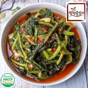함평골김치 감칠맛이 풍부한 전라도 열무김치 4kg