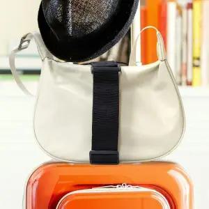 [라일리] Rly ZF 캐리어 가방 걸이