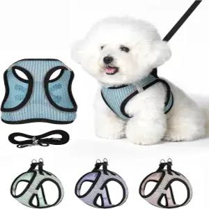 버널리 강아지 하네스 소형 및 목줄 세트 부드러운 가벼운 조끼 착용 강아지와 고양이에게 적합한 통기성