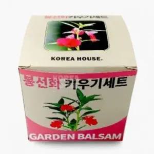 ( )봉선화 키우기 실내식물 식물키트