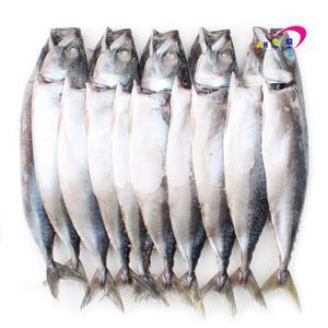 국산 간고등어(대) 10미 3kg 자반고등어