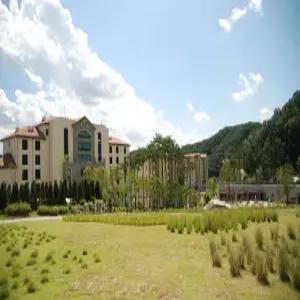 백학자유로리조트