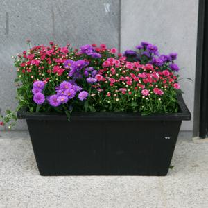 텃밭화분 (대)/도로용 옥상화분/텃밭상자 튼튼하고 오래쓰는 고무재질 그린컴퍼니