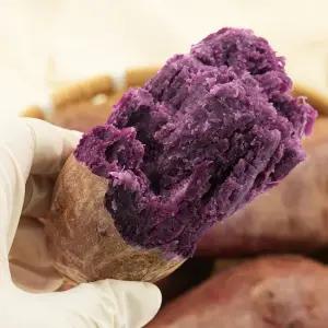 해남 자색고구마 3kg 5kg 10kg