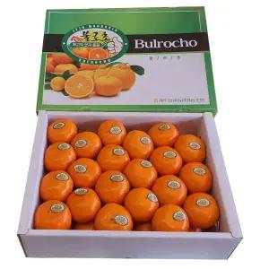 불로초 감귤 밀감 제주특산물 과일선물세트