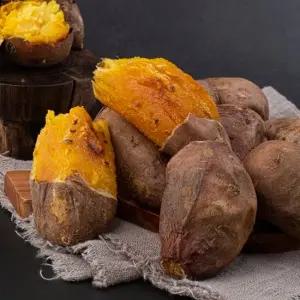 [신선연구소]해남 꿀 밤고구마 5kg 특상급(120-300g) 베니하루카