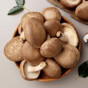 찬들표고농장 무농약인증 표고버섯 가정용(1kg/1.5kg) 파지(2kg)