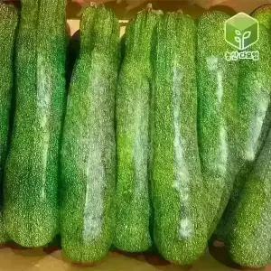 국내산 쥬키니 호박 상 10kg