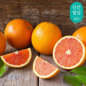 카라카라 오렌지 중과 20과(총3.8kg내외)