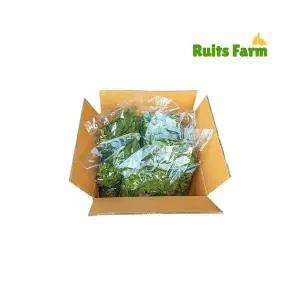 [루츠팜] 태국 건조 카피르 라임잎 1kg 건라임잎