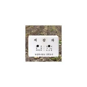 강원농산 정품 채종 씨감자 수미 4kg 보급종 감자씨
