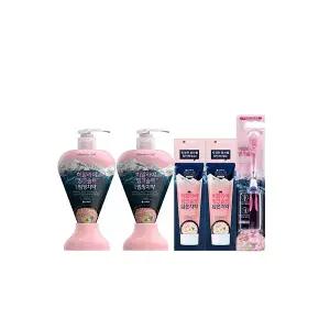 페리오 히말라야 핑크솔트 펌핑치약 플로럴민트, 285g, 2개 + 플로럴민트, 100g, 2개 + 칫솔 부드러운모, 1개