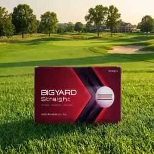 빅야드 스트레이트 2피스 골프공 30구 e