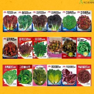 씨앗모음 상추 유럽상추 텃밭채소 텃밭가꾸기 씨앗 씨 종자