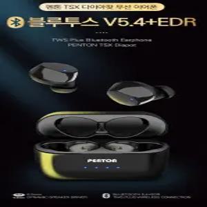 펜톤 블루투스이어폰 TSX 다이아팟 W 무선 블루투스이어폰