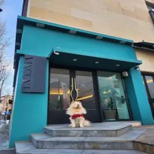 [전북] 전주 호텔 더 빈센트(전북, 전주)