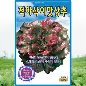 KS종묘 적아삭이맛상추 씨앗 300립 상추씨 종자