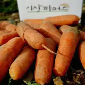 25년 국내산 햇 당근 구좌 못난이 하우스 당근