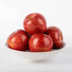 아삭한 가정용 햇 빨간사과 쥬스용 혼합과 5kg