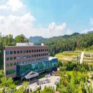 [강원] 춘천 베어스호텔(강원호텔/춘천호텔)