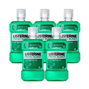 리스테린 후레쉬 버스트 250ml X5개
