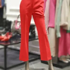 [알렉시스엔]제시뉴욕 세미부츠컷 정장팬츠 JE3-NSPR1210_s