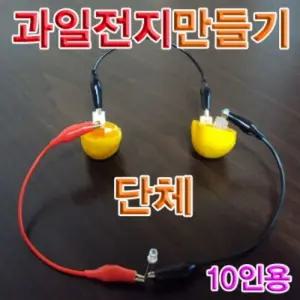 과일전지만들기 단체(10인용)/DIY/초등/장난감/교재/교구/과학/게임/만들기/놀이/수동/모형/실험/키트/재료