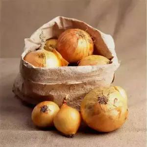 단단하고 신선한 국내산 양파 10kg (소)