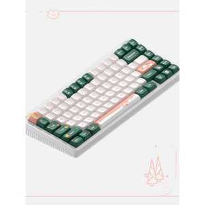 (페블온) 베이지 MOA 제품 키캡 독거미 그린 F99 PBT 포인트 한무무