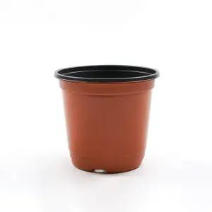 갑조네 이색화분 기본포트