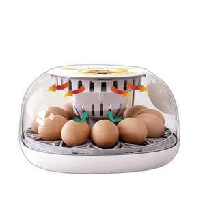 가정용 자동 조절 습도 제품 닭 거위 달걀 알 온도 메추리 부화기 오리