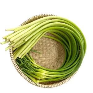 야채이야기 싱싱한 마늘쫑 1단 (약 400g) 장아찌용