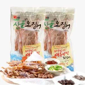 YD 영동산골오징어 마른오징어 몸통 230g 2봉