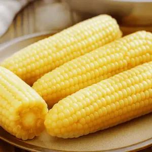쪄서가는 쫀득 백찰옥수수 (특대) / 30개