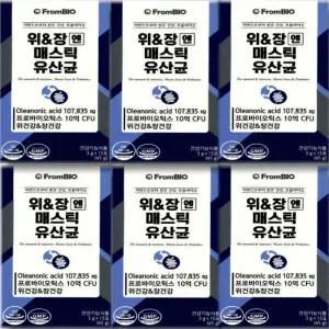 프롬바이오 위장엔 매스틱 유산균 15포 6박스