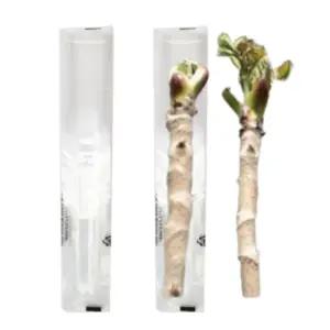 두릅용 비닐 두릎나무 포장지 100장 봉투 씌우는 수확 두릅 농사 구멍