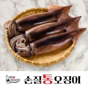 [덕신수산][왕특대] 손질통오징어 220g × 10미 (1팩/1미)