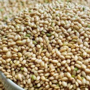 국내산 땅끝 해남 현미 찰 현미쌀 4kg