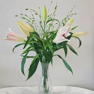 [꽃같은하루] 백합꽃 시베리아 쉐라 백합 향기좋은꽃 생화 택배