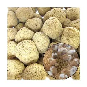 대주 익스 1kg 햄스터 사료 밥 다람쥐 먹이