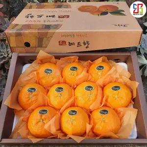 달콤 시원한 명품 레드향 제주 위미 3kg 선물용 가정용 과일 선물세트 제주직송