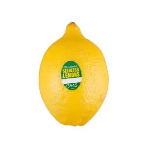 미국산 씨 없는 레몬 1개