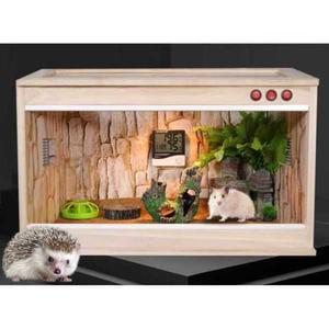 도마뱀키우기 거북이 뱀 고슴도치 애완용 도마뱀 파충류