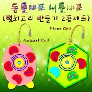 세포 열쇠고리 만들기(식물+동물 2종 세트) JSF