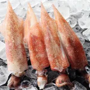 통영 장보고닷컴 국내산 최상급 한치 1kg (5~9미) 조업당일 급냉