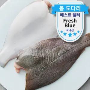 동해안 자연산 알배기 봄도다리 생물 제철 손질 도다리 쑥국 구이 횟감