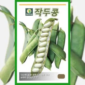 [파머씨드]작두콩 씨앗 30립 작두콩씨 종자 채소 콩재배 야채