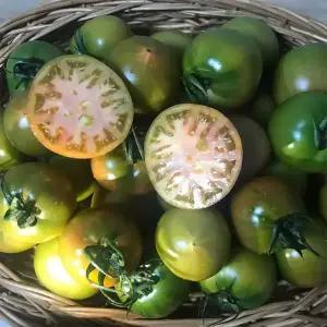 제절 대저 토마토 특품 2.5kg 새콤 달콤 짭짤한 맛 계절 과일