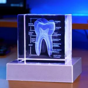POSSHE 3D 인간 크리스탈 치아 모델 의사 치과 선물 배터리로 구동되는 K9 2.4인치 에칭 큐브 램프 위생사